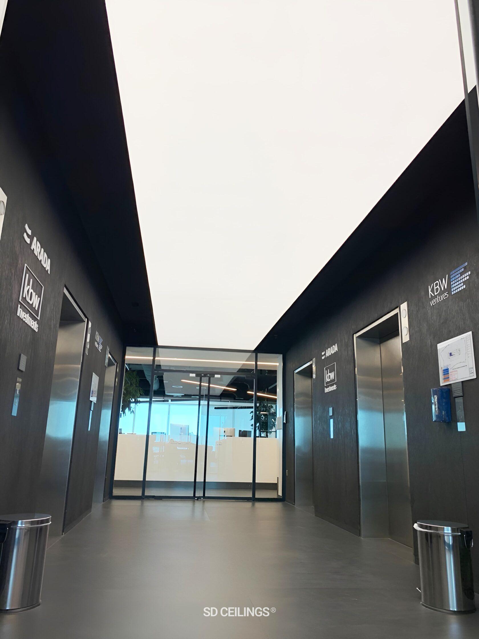 Double Vision Ceiling